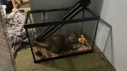 Fish tank 20 gallons