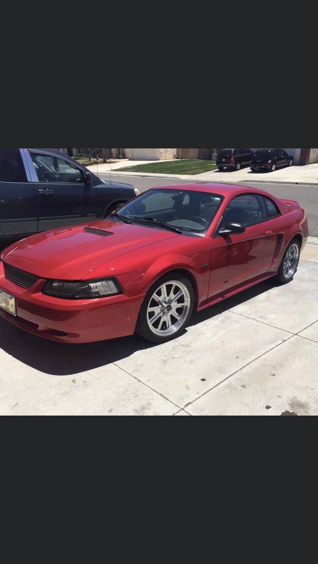 2000 Ford Mustang