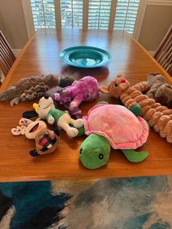 Free dog food and toys