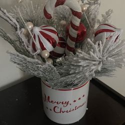 Christmas Ceramic Pot with Decor Plant 🌱 And Candy Cane 