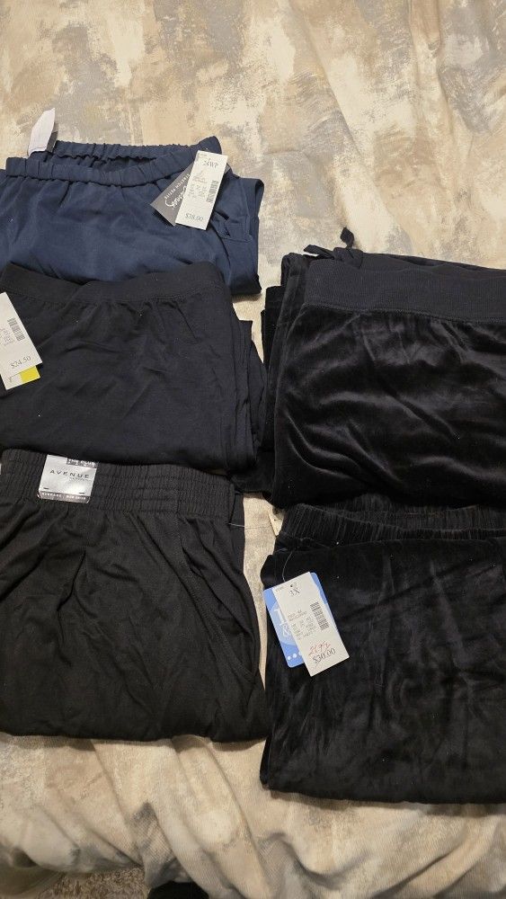 Lot of 5 Women's Pants