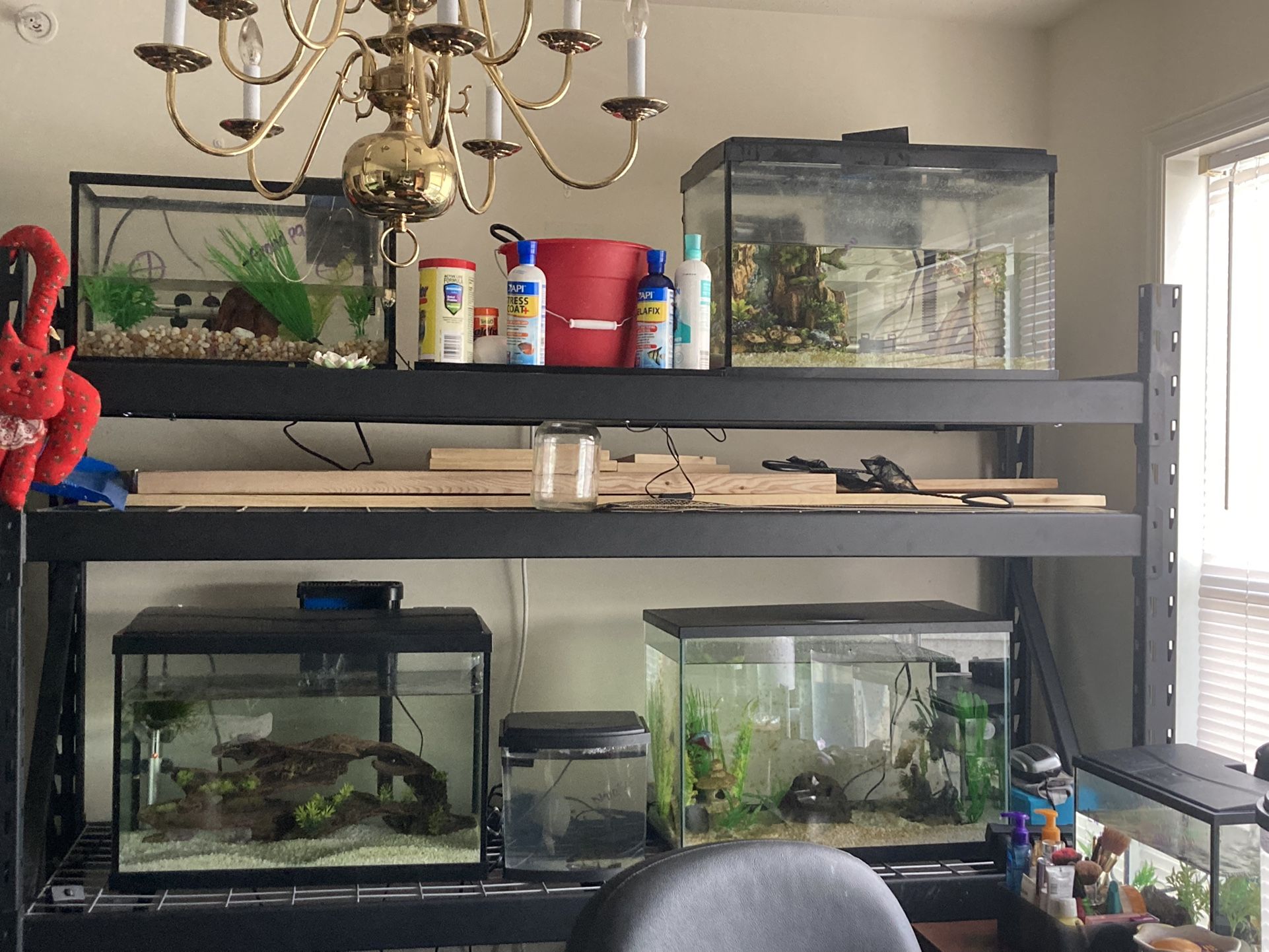 Fish Tanks For Sale 