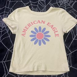 american eagle cropped baby tee