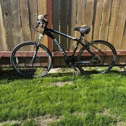 Schwinn Dual Sport Bike 