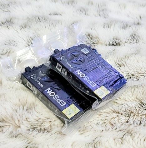 NEW Two Epson DuraBrite 252 Black Ink Cartridges