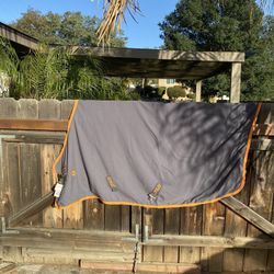 Amigo Day sheet . Horse. Size 75