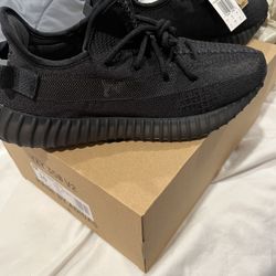 Yeezy Boost 350 
