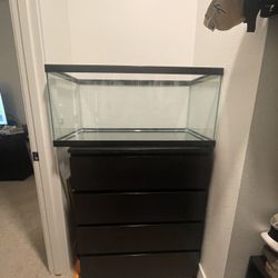 40 Gallon Breeder Tank