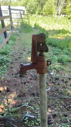 Old Pump