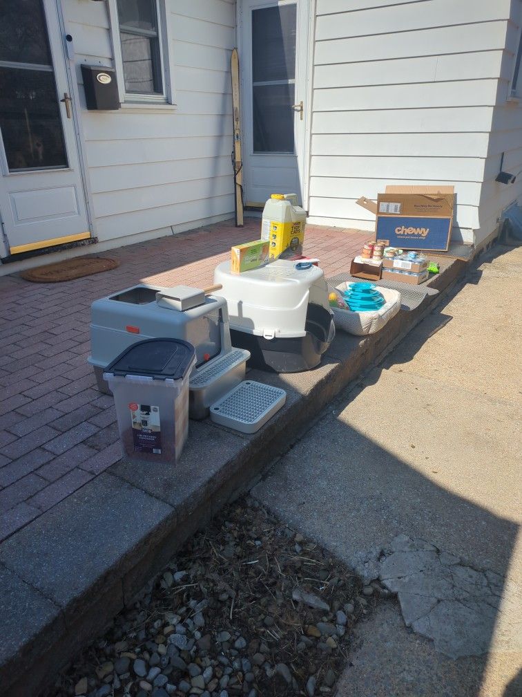 Bulk Cat/Kitten Supplies