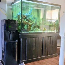 150 Gallon Tank With Storage 