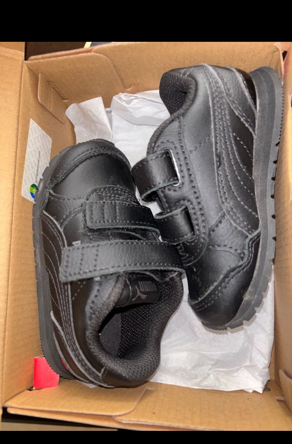 Puma 6c