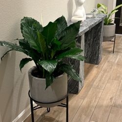 Rejuvenation Dell All-Weather Planter With Stand 13”