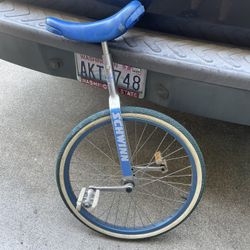 Schwinn Unicycle