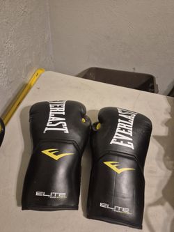 Everlasting Elite 16 Oz Training Gloves