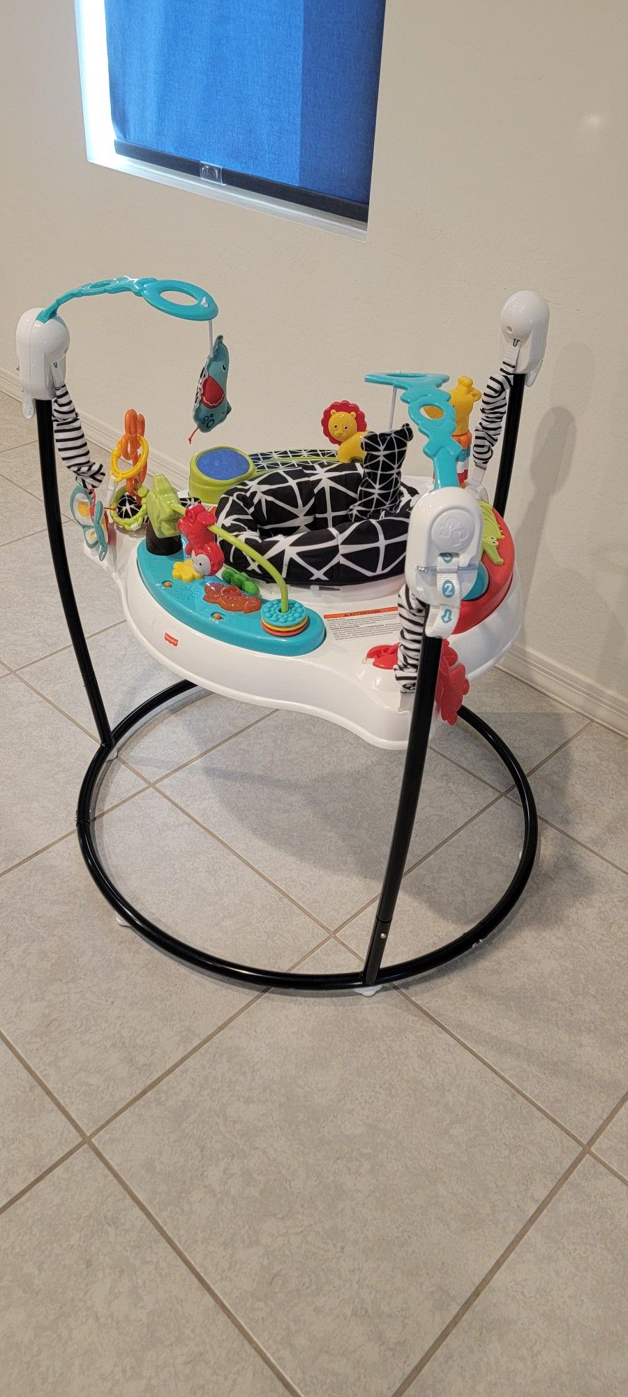 Fisher-Price Baby Bouncer