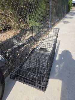 Animal Dog Cage