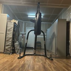 Everlast Boxing Bag and Bag Holder