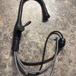 Black Faucet with Pull-Down Sprayer