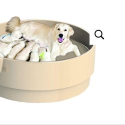 Whelping Bed