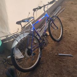 Specialized Mountain Bike