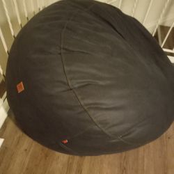 Big Bean Bag