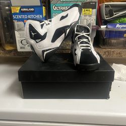 NIKE Air Jordan True Flight White/Black