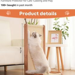 Cat Scratching 