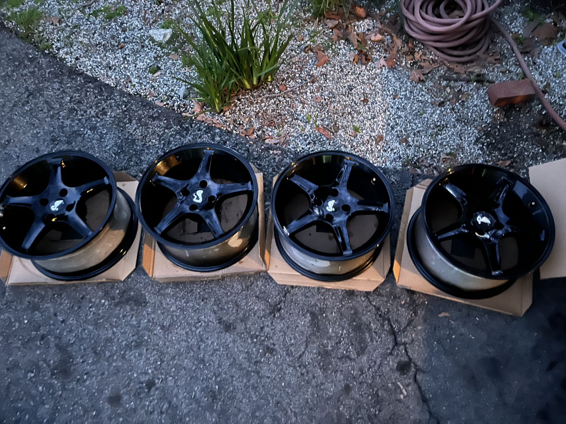 Mustang Cobra R Style Black 4 Lug wheels