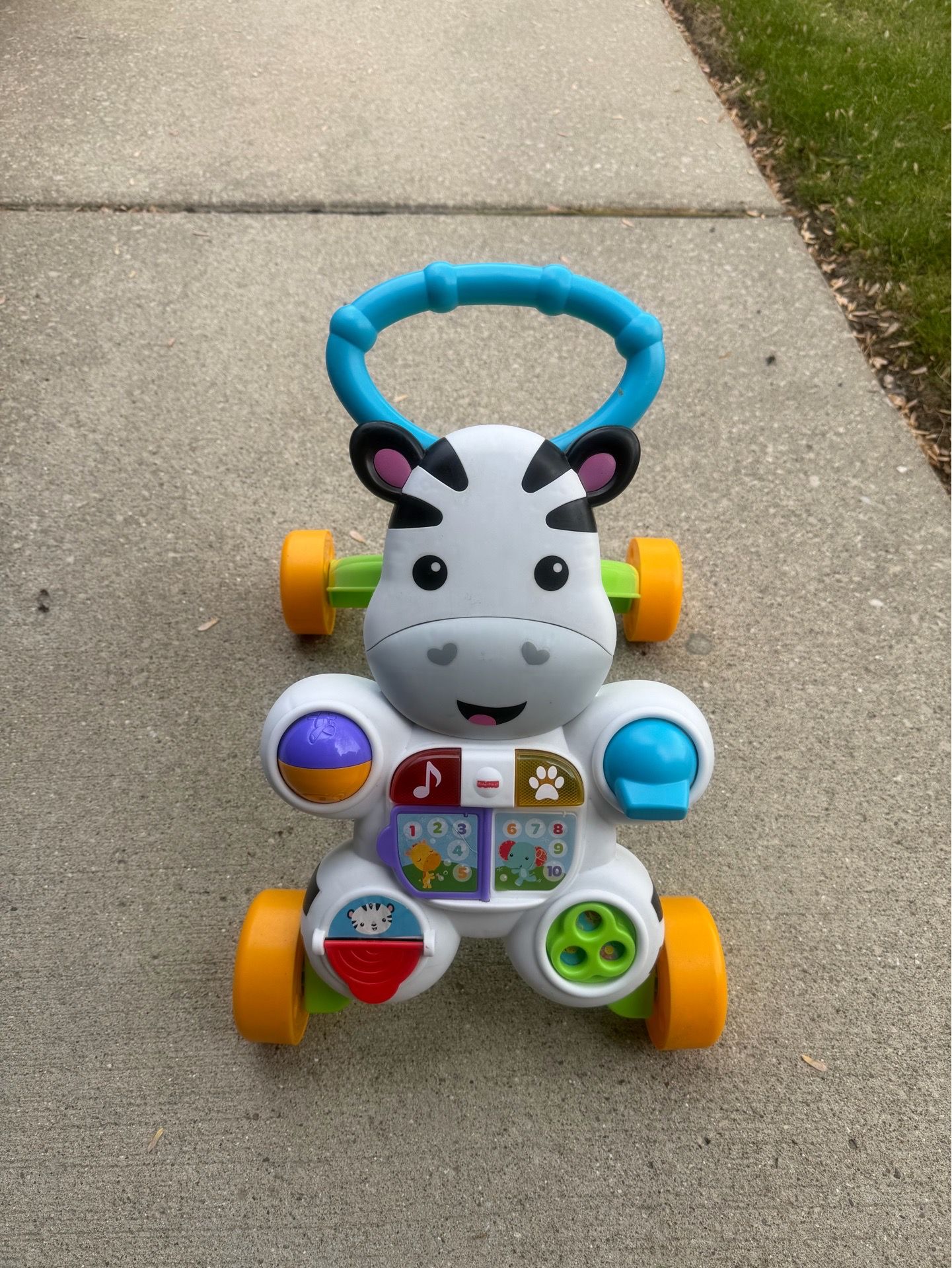 Fisher Price Kids Zebra Push Toy
