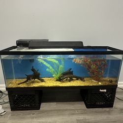 33 Gallon Long Fish Tank 