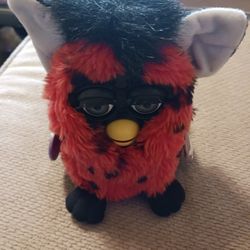 Furby