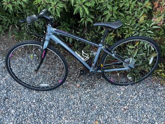 Nisiki size 700. needs chain or cleaning