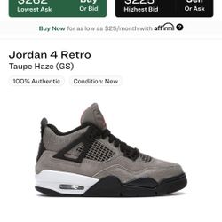 Jordan 4 Taupe Haze Gs