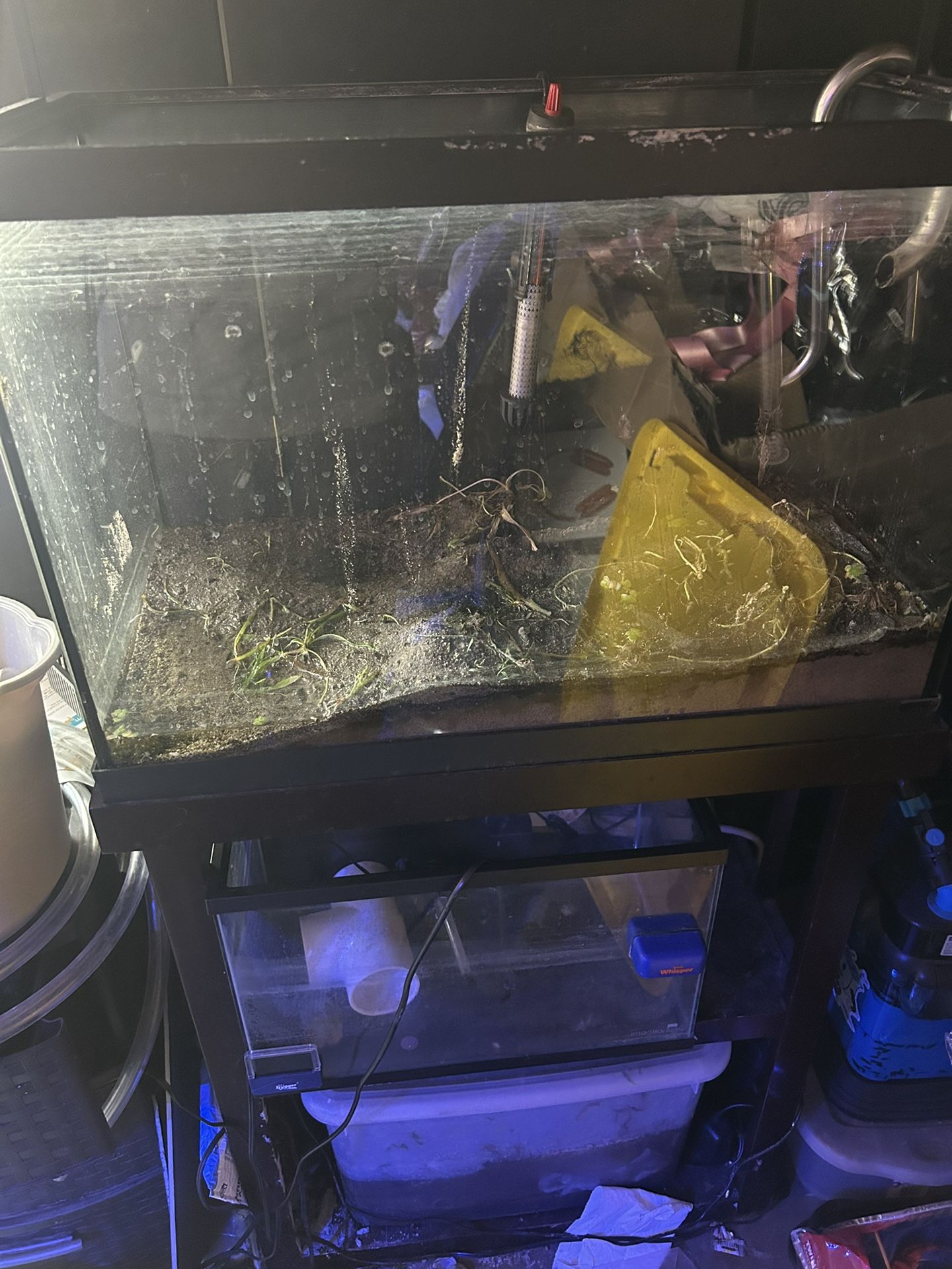 20 Gallon Tank