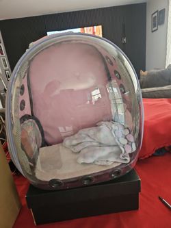 Mochila para cargar gatos