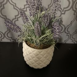Fake Plant 