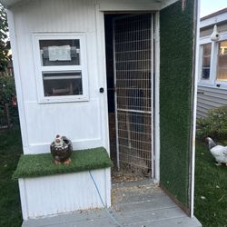 Walk In Chicken Coop Will Run  