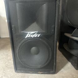 PEVEY SPEAKER