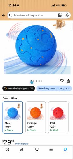 Smart dog toy