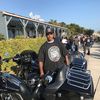 Harley 110