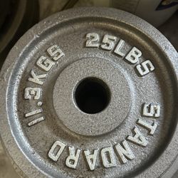 25 LB Weights 