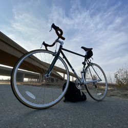 $400 State Bicycle 8 Speed - Helmet, Lock, Pump, and Pouch INCLUDED!