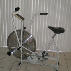 Schwinn Airdyne Exercise Bike 