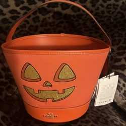 Coach Halloween Pumpkin Handbag