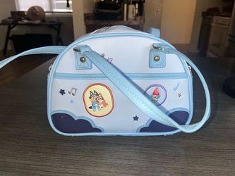 Bluey purse