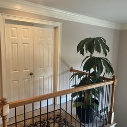 Artificial Tree For Sale 