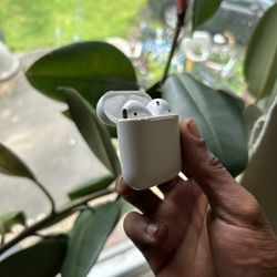 Apple Earbuds