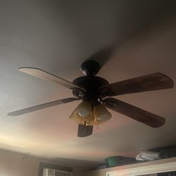 Ceiling Fan