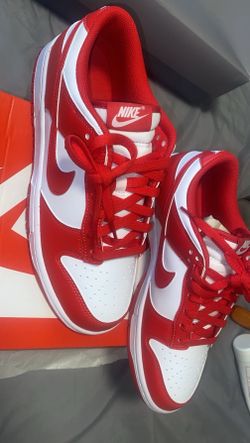 9.5 men’s Dunks